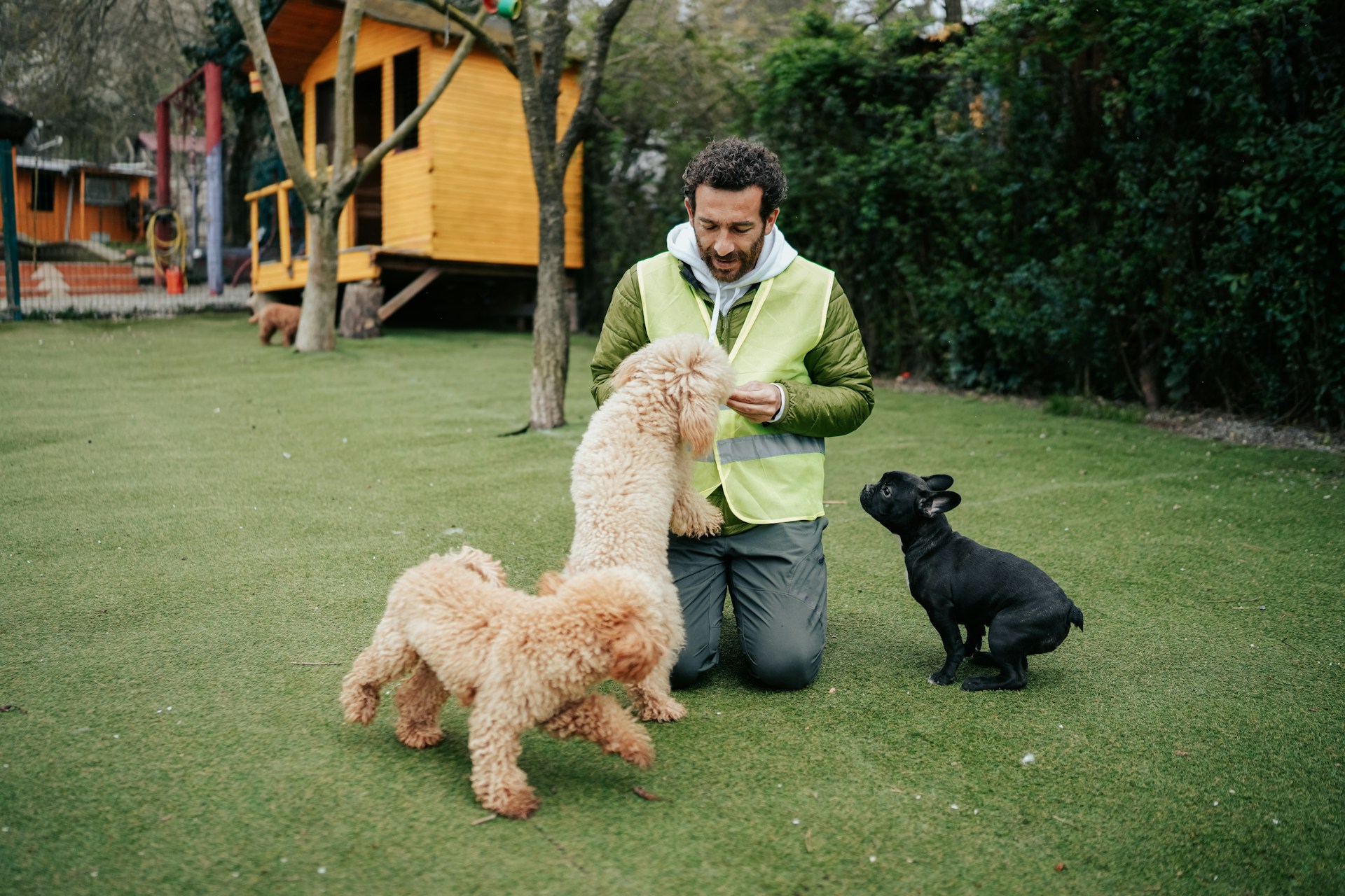 Synthetic turf for pet backyard