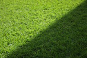 Synthetic turf