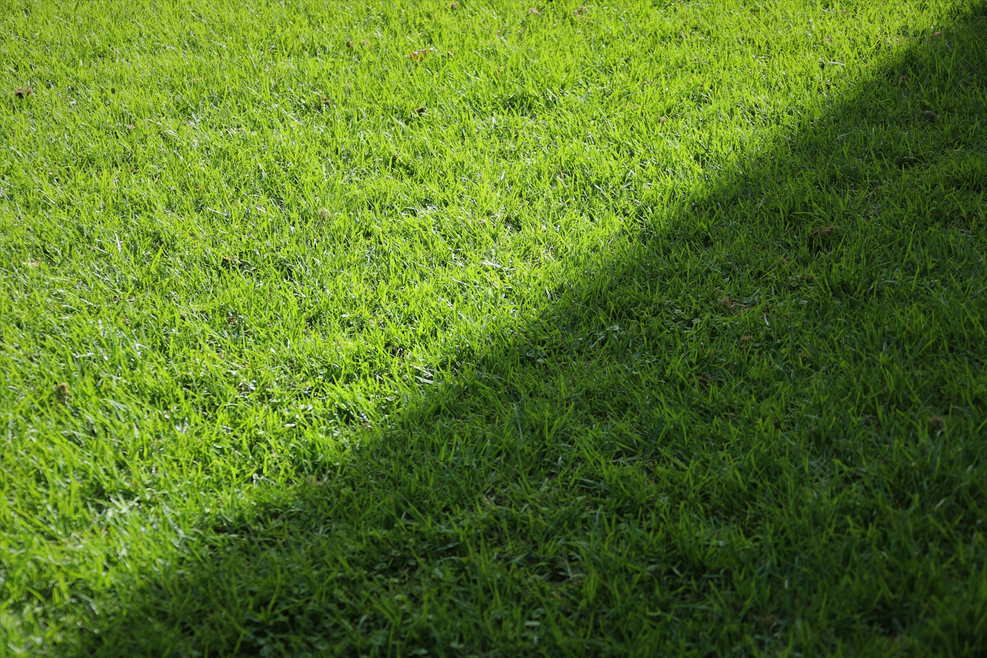 Synthetic turf