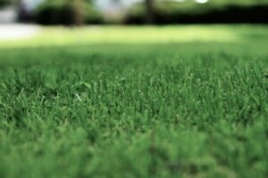 Synthetic turf