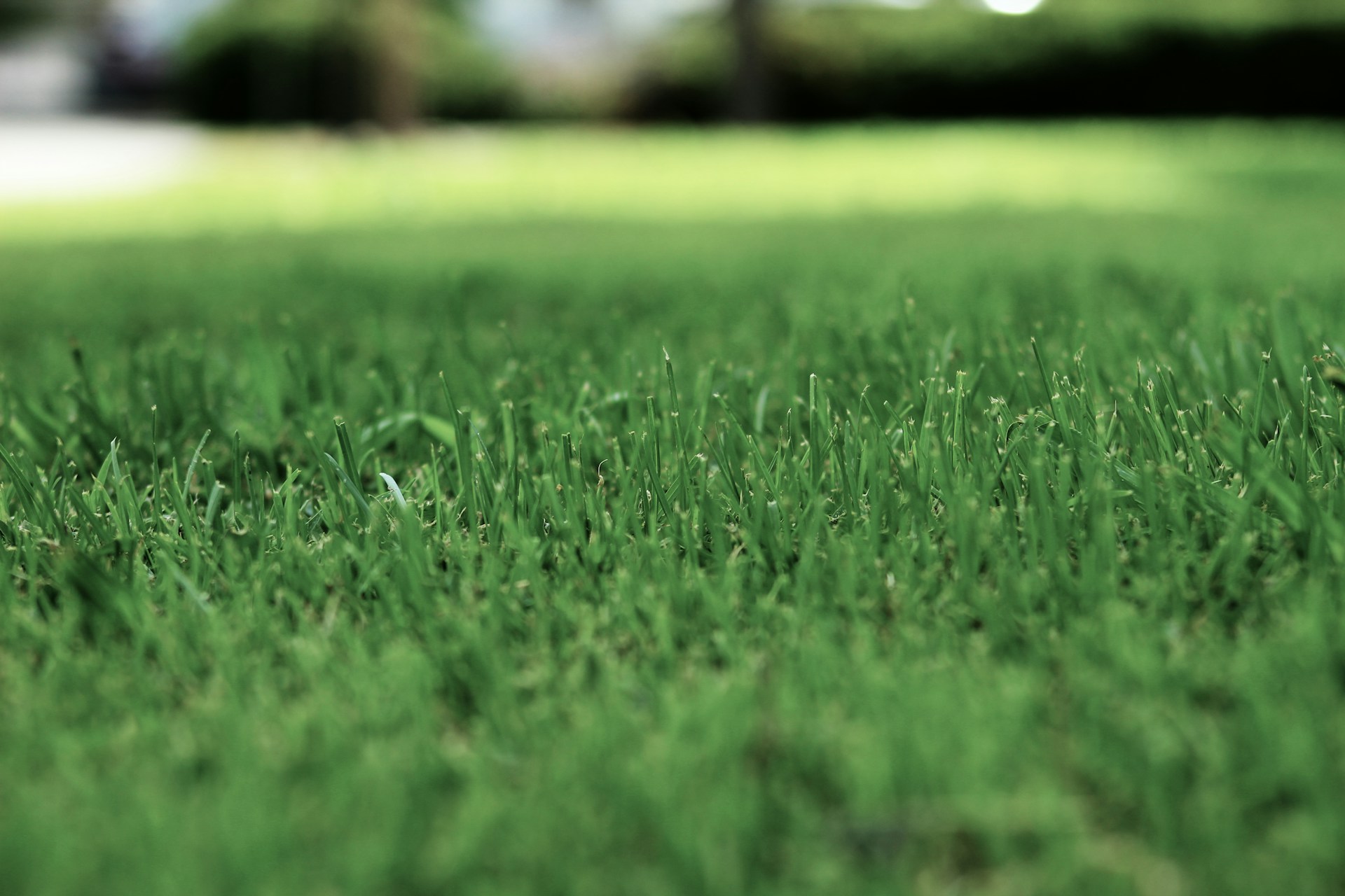 Synthetic turf