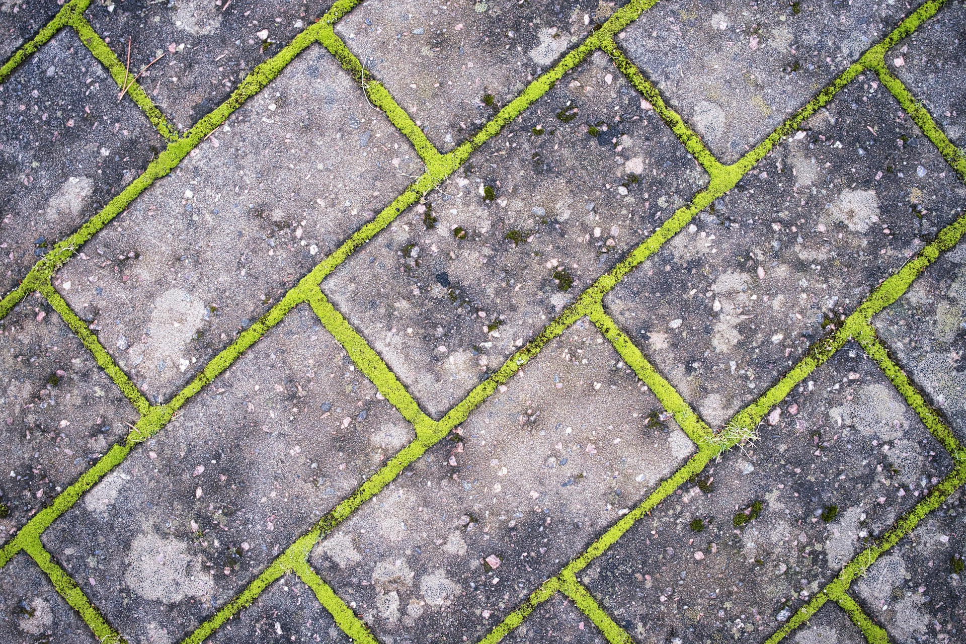 Pavers and artificial grass