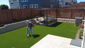 pet-friendly turf